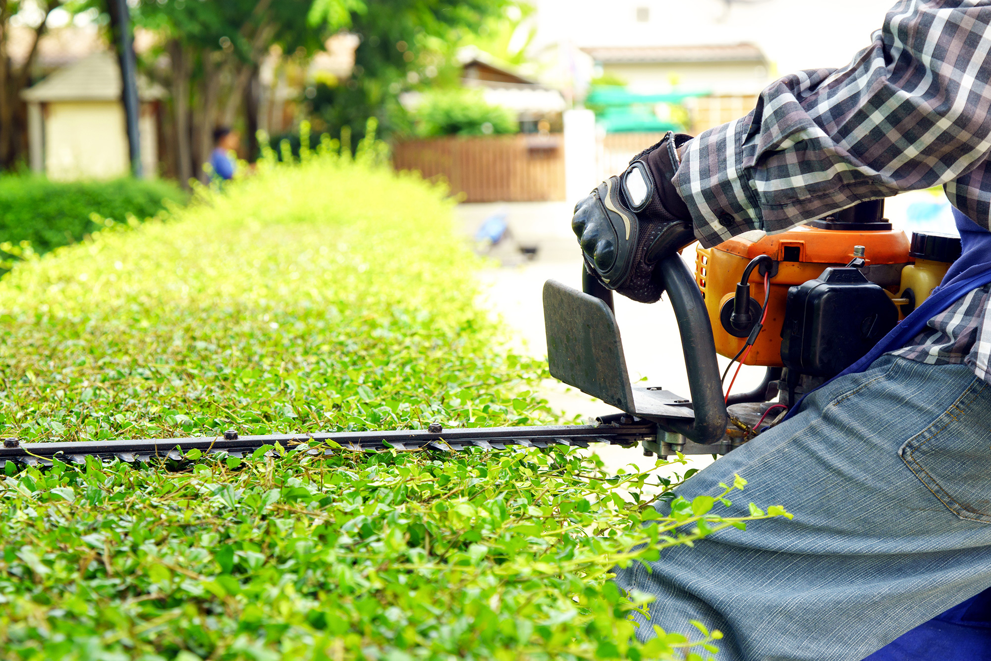 Grounds Maintenance