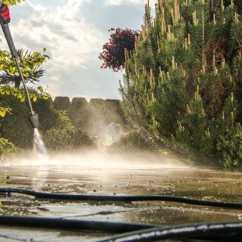 Washing Garden Paths